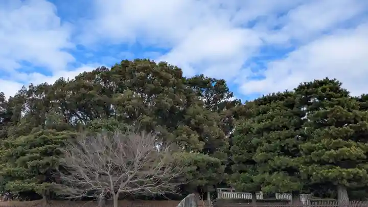 菟道稚郎子尊宇治墓のお墓