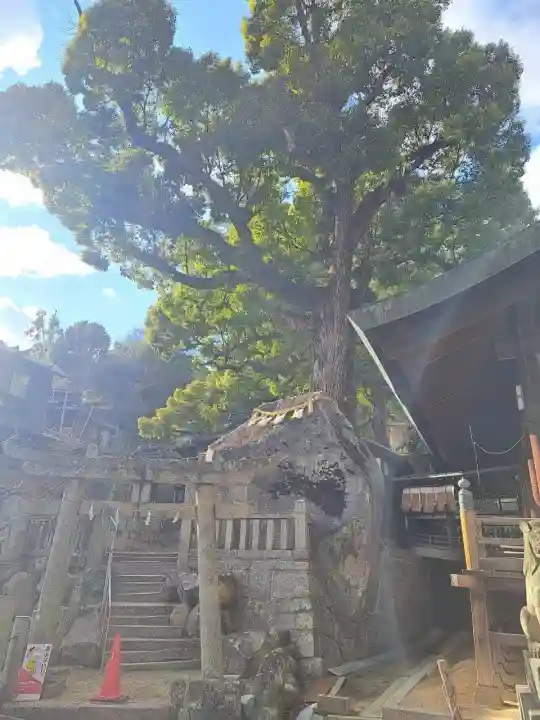 艮神社の{uncategorized: "未分類", other: "その他", undefined: "問題あり", building: "その他建物", grave: "お墓", sacred_gate: "鳥居", guardian: "狛犬", statue: "像", buddha: "仏像", history: "歴史", nature: "自然", garden: "庭園", animal: "動物", pagoda: "塔", temizu: "手水舎", mountain_gate: "山門・神門", sanctuary: "本殿・本堂", subordinate: "末社・摂社", art: "芸術", scenery: "景色", jizo: "地蔵", ema: "絵馬", goshuin: "御朱印", omikuji: "おみくじ", items: "授与品その他", amulet: "お守り", goshuincho: "御朱印帳", eats: "食事", festival: "お祭り", votive_dance: "神楽", shichigosan: "七五三参", wedding: "結婚式", experience: "体験その他", initially: "初詣", around: "周辺", anti_infection: "感染症対策"}