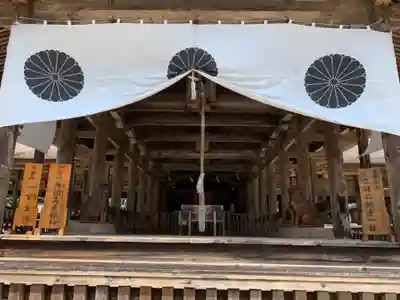 土佐神社の本殿・本堂