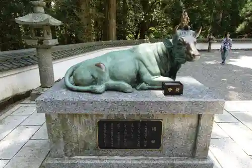 金剛證寺の狛犬