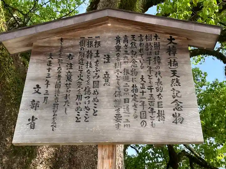 太宰府天満宮(福岡県)