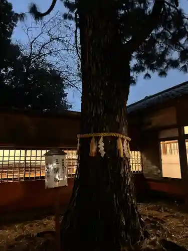 前原御嶽神社(千葉県)