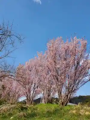 普門院（文知摺観音）(福島県)