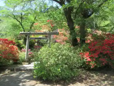 愛宕神社の鳥居