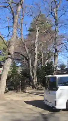 本太氷川神社(埼玉県)