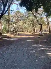 埼玉縣護國神社の自然