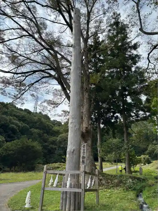 諏訪大社上社前宮(長野県)