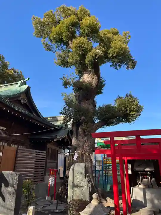 五方山熊野神社(東京都)
