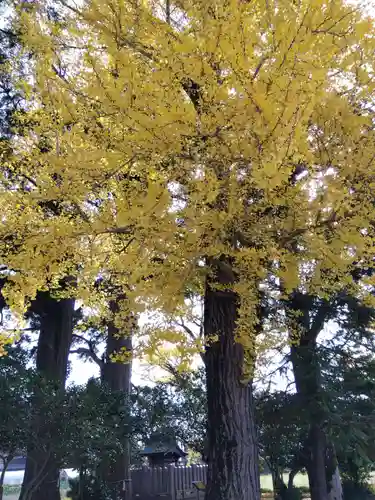 佐味神社(滋賀県)