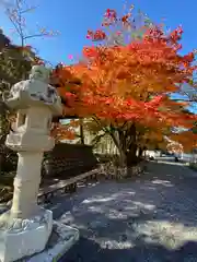 修禅寺(静岡県)