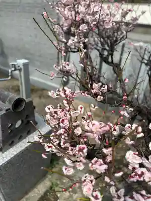天神社(兵庫県)