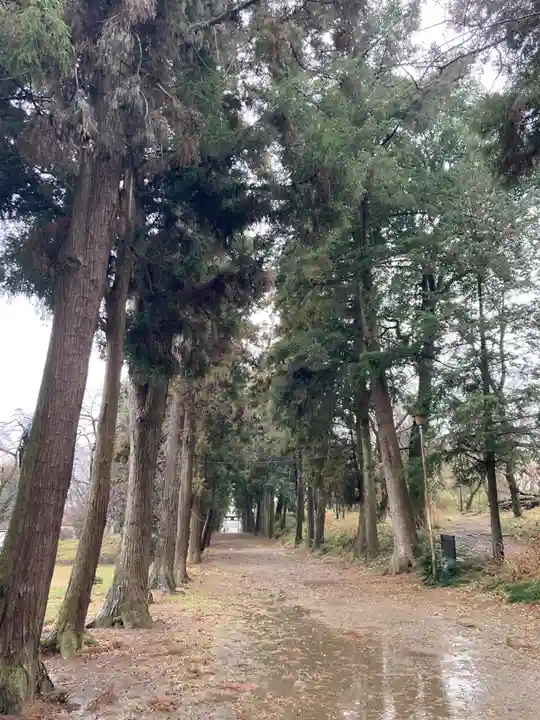 千代ケ岡八幡宮(栃木県)