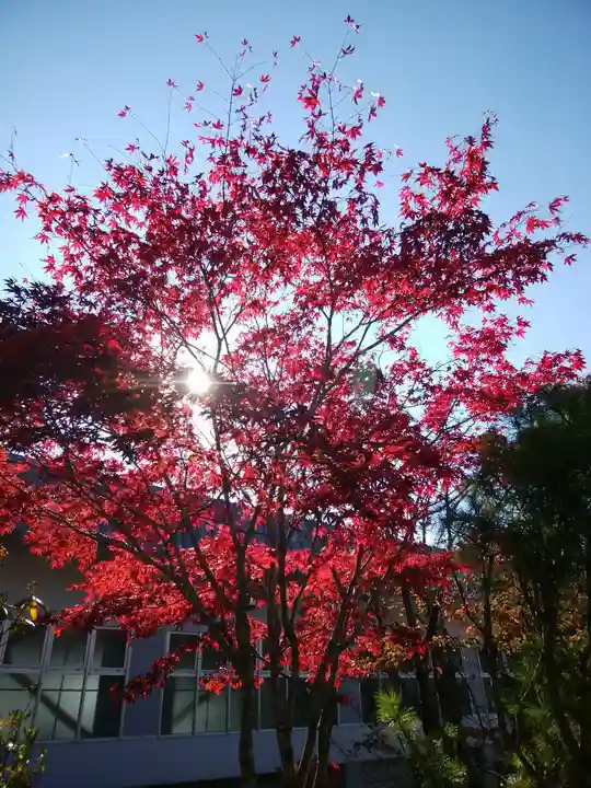 羅臼神社(北海道)