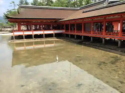 厳島神社のその他建物