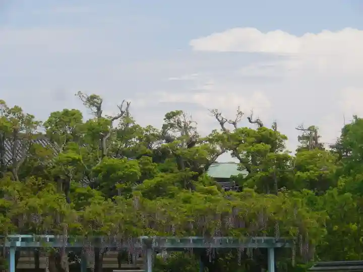 鶴岡八幡宮の庭園