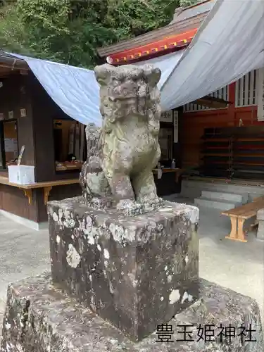 豊玉姫神社の狛犬