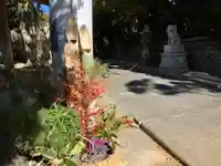 白羽神社(静岡県)