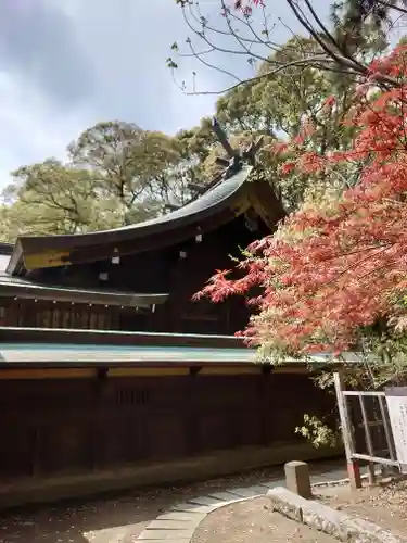 平塚八幡宮(神奈川県)