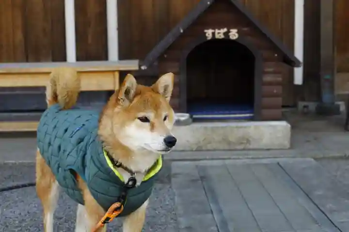 感通寺(東京都)