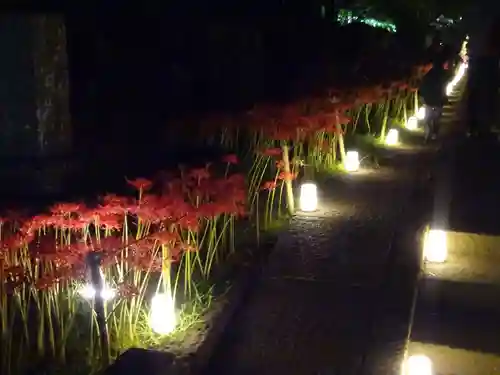 横浜　西方寺の自然