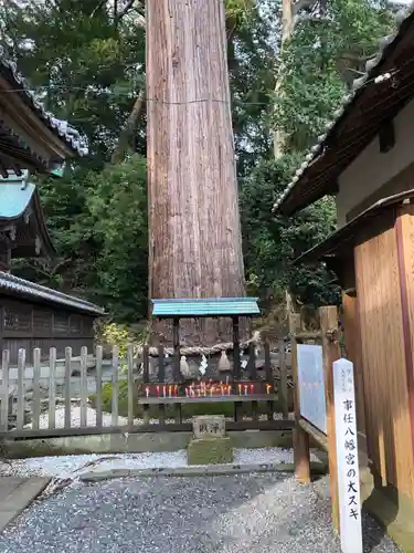事任八幡宮の自然
