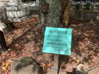 安養寺の自然