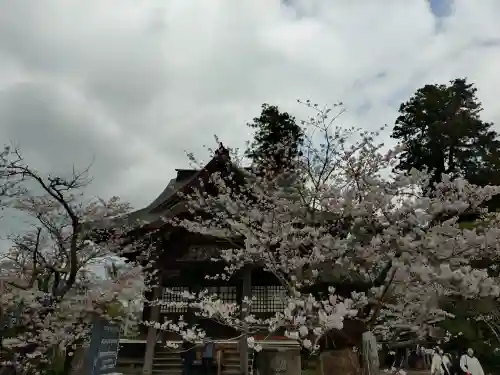 大杉神社の{uncategorized: "未分類", other: "その他", undefined: "問題あり", building: "その他建物", grave: "お墓", sacred_gate: "鳥居", guardian: "狛犬", statue: "像", buddha: "仏像", history: "歴史", nature: "自然", garden: "庭園", animal: "動物", pagoda: "塔", temizu: "手水舎", mountain_gate: "山門・神門", sanctuary: "本殿・本堂", subordinate: "末社・摂社", art: "芸術", scenery: "景色", jizo: "地蔵", ema: "絵馬", goshuin: "御朱印", omikuji: "おみくじ", items: "授与品その他", amulet: "お守り", goshuincho: "御朱印帳", eats: "食事", festival: "お祭り", votive_dance: "神楽", shichigosan: "七五三参", wedding: "結婚式", experience: "体験その他", initially: "初詣", around: "周辺", anti_infection: "感染症対策"}