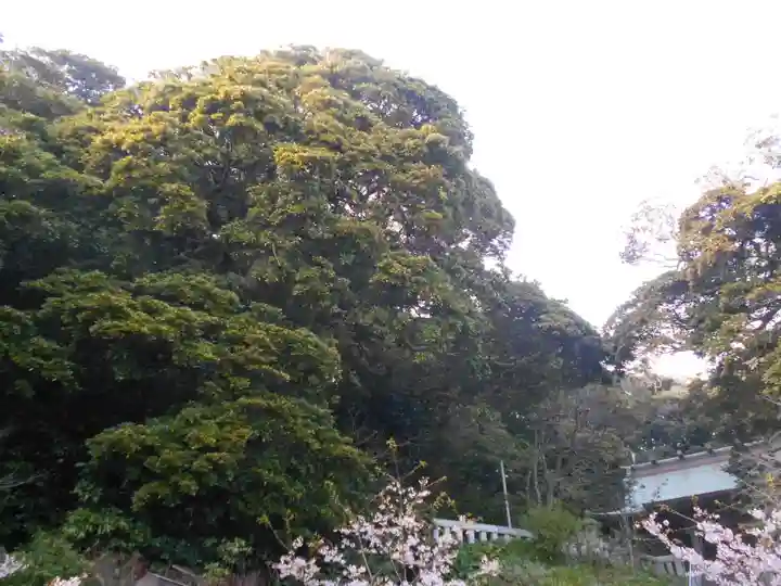 甘縄神明神社(甘縄神明宮)の景色