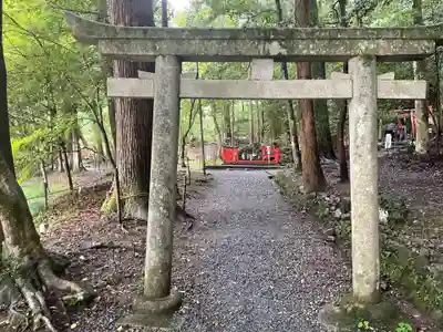 出雲大神宮の鳥居