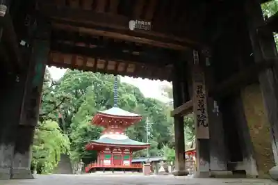 慈尊院の山門・神門