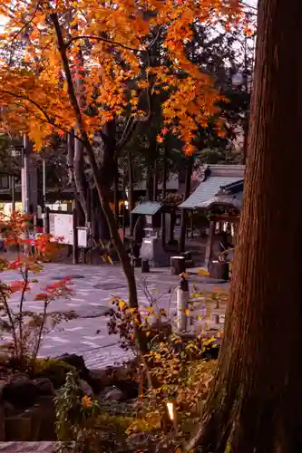 諏訪大社下社秋宮(長野県)