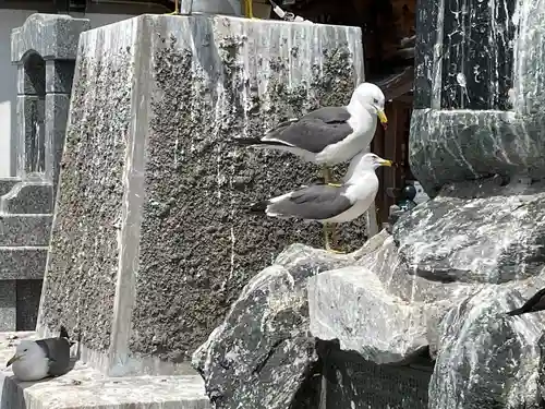蕪嶋神社(青森県)