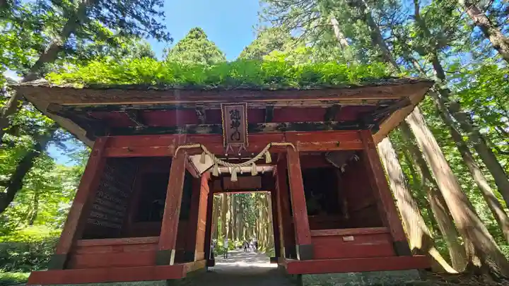戸隠神社奥社(長野県)