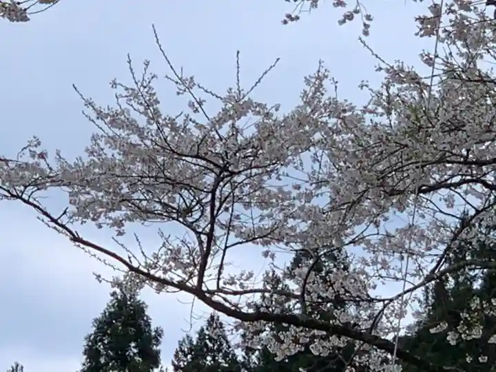 淡墨観音の自然