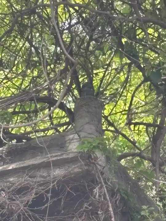 聖徳太子堂(兵庫県)