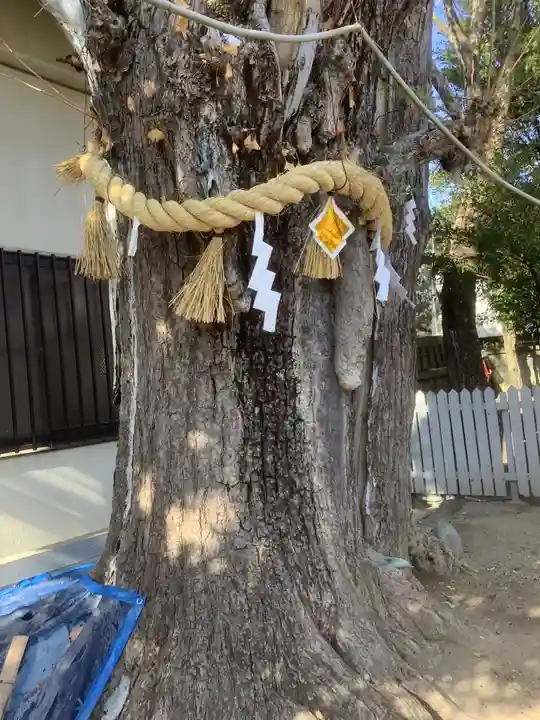 冨士八幡社の自然