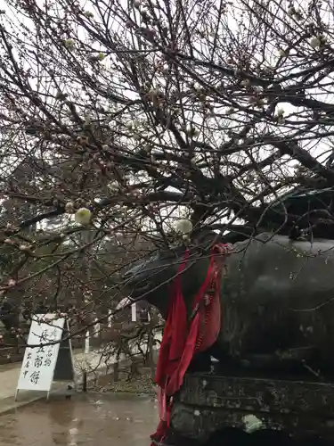 北野天満宮の狛犬