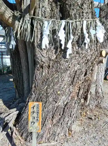 八大龍王辨財天(京都府)