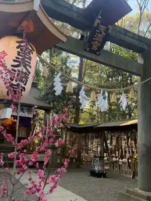 大宮天満宮の{uncategorized: "未分類", other: "その他", undefined: "問題あり", building: "その他建物", grave: "お墓", sacred_gate: "鳥居", guardian: "狛犬", statue: "像", buddha: "仏像", history: "歴史", nature: "自然", garden: "庭園", animal: "動物", pagoda: "塔", temizu: "手水舎", mountain_gate: "山門・神門", sanctuary: "本殿・本堂", subordinate: "末社・摂社", art: "芸術", scenery: "景色", jizo: "地蔵", ema: "絵馬", goshuin: "御朱印", omikuji: "おみくじ", items: "授与品その他", amulet: "お守り", goshuincho: "御朱印帳", eats: "食事", festival: "お祭り", votive_dance: "神楽", shichigosan: "七五三参", wedding: "結婚式", experience: "体験その他", initially: "初詣", around: "周辺", anti_infection: "感染症対策"}