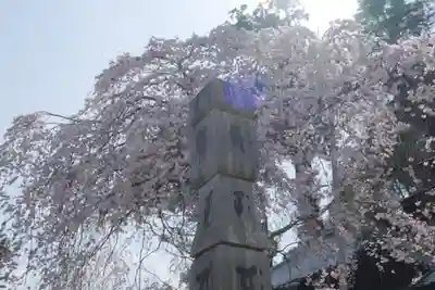 金剛寺のその他建物