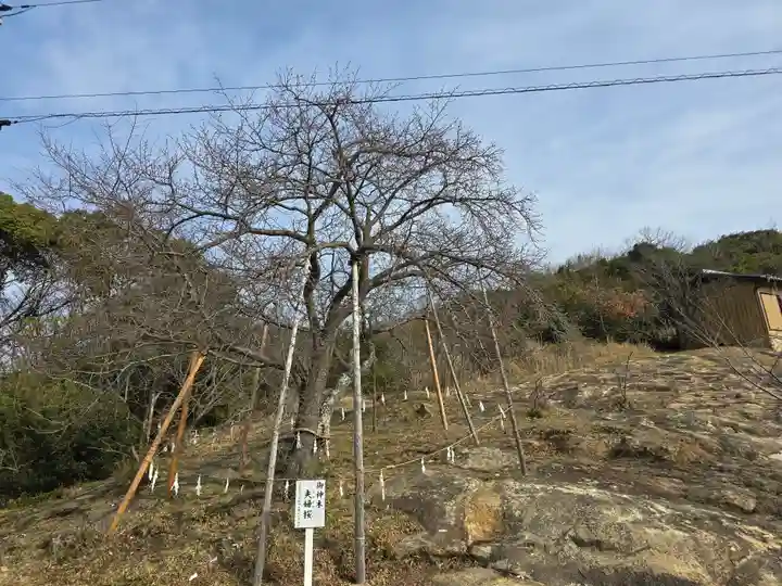 生石神社(兵庫県)
