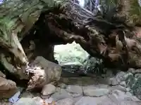 大山祇神社の自然