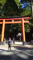 霧島神宮(鹿児島県)