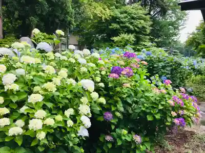 幸徳院笹野寺(山形県)