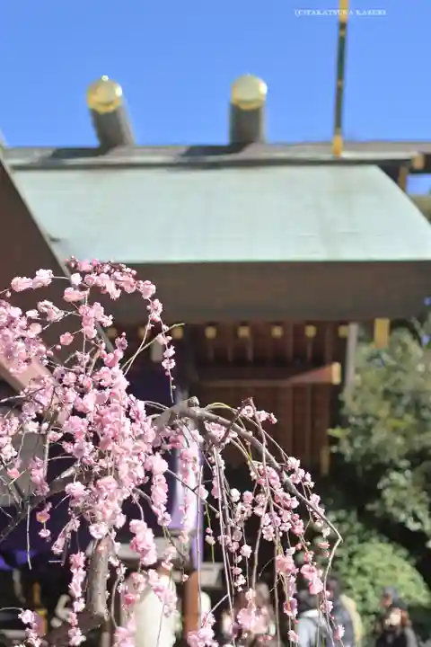東京大神宮(東京都)