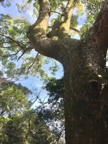 葭原神社（皇大神宮末社）の自然
