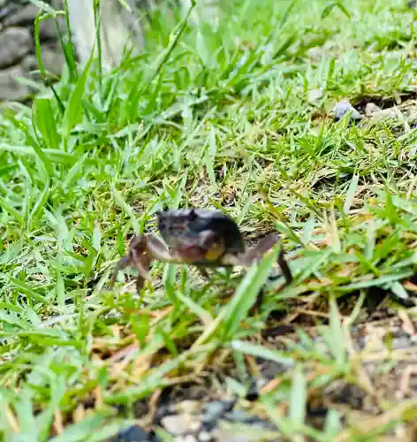 総見寺(滋賀県)