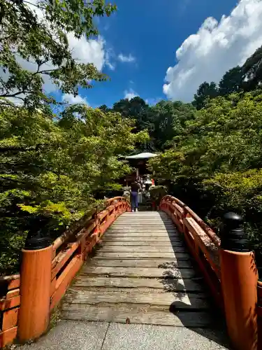 醍醐寺(京都府)