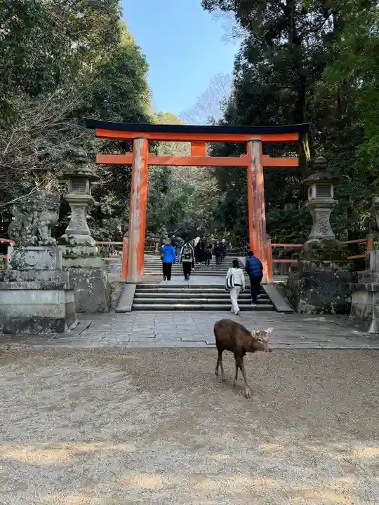春日大社(奈良県)