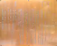 一宮神社の歴史